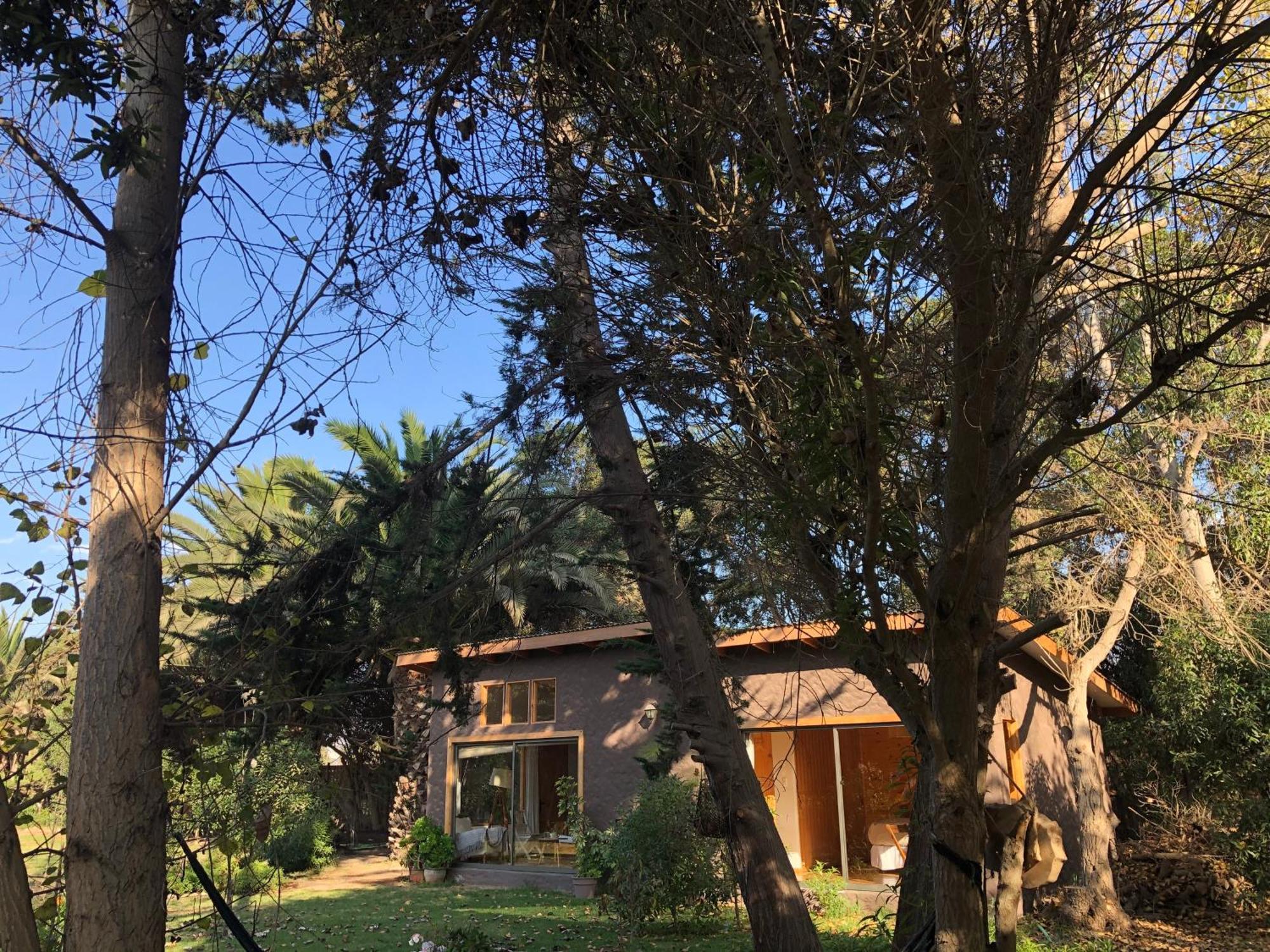 Cabanas En La Naturaleza A Pasos De La Playa 라세레나 객실 사진